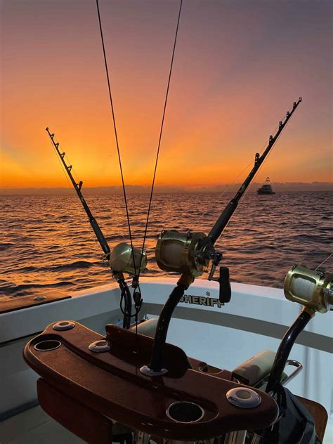 cairns game fishing charters|Cairns Fishing Charters .